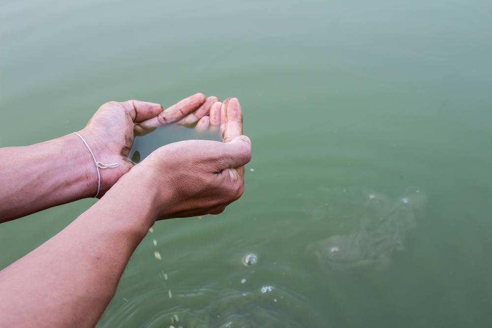 sonhar com água suja